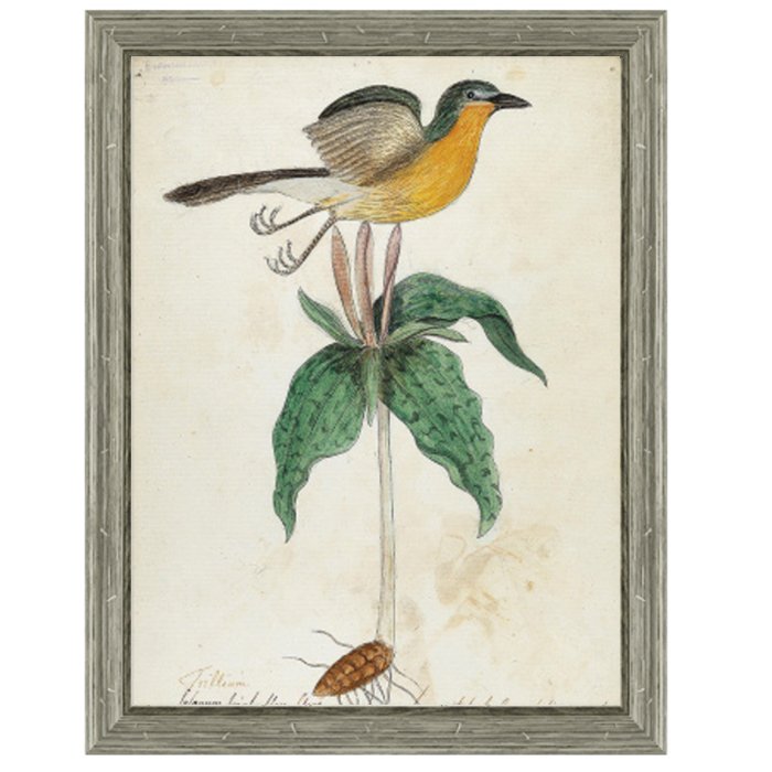 Постер Bird On Flower Постер Bird On Flower в Челябинске | Loft Concept