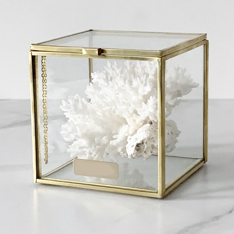Статуэтка Natural Coral Glass Box S Статуэтка Natural Coral Glass Box S в Челябинске | Loft Concept