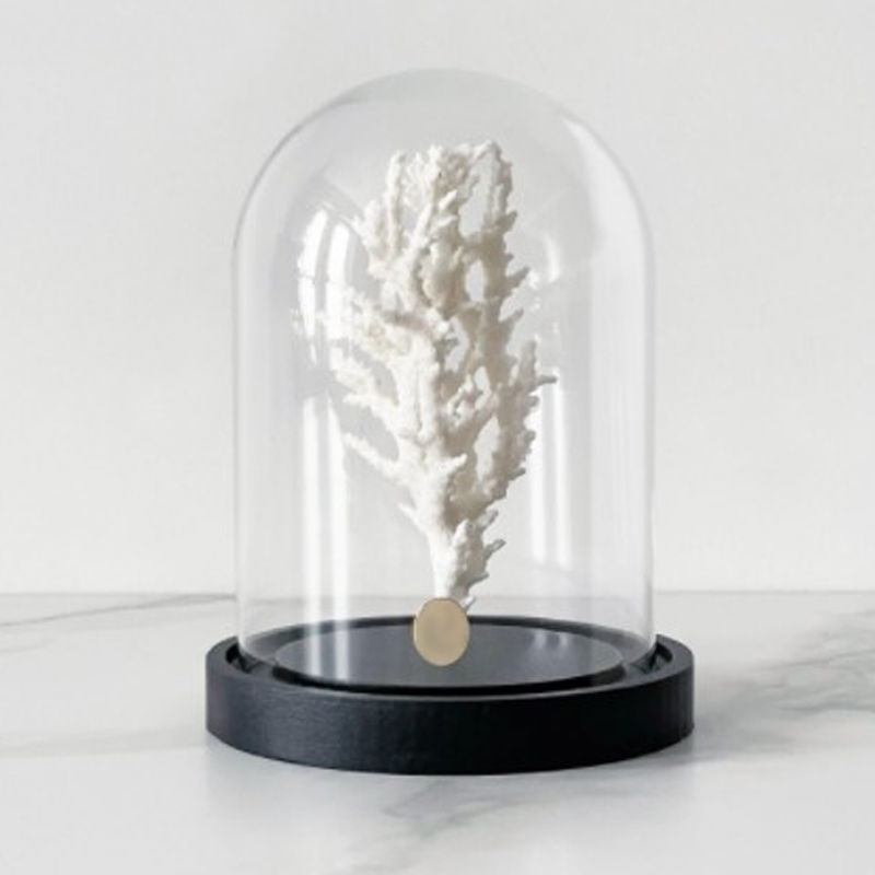 Статуэтка White Coral Glass Cloche Статуэтка White Coral Glass Cloche в Челябинске | Loft Concept