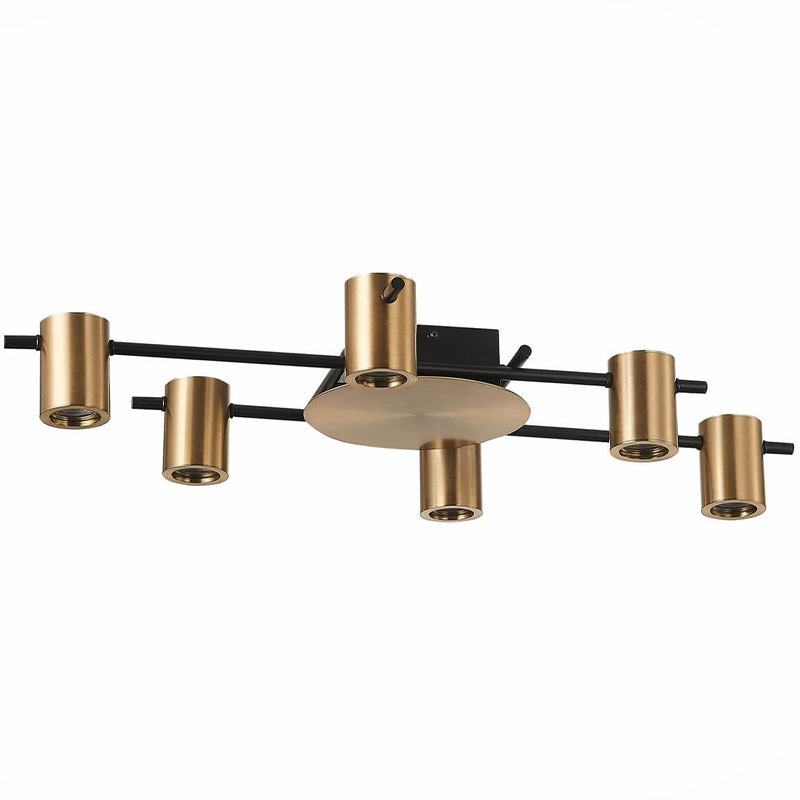 Потолочный светильник Aigle Ceiling Light 6 Черный Латунь Потолочный светильник Aigle Ceiling Light 6 Черный Латунь в Челябинске | Loft Concept