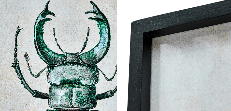 Комплект из 2-х постеров Зеленый Жук - фото №1