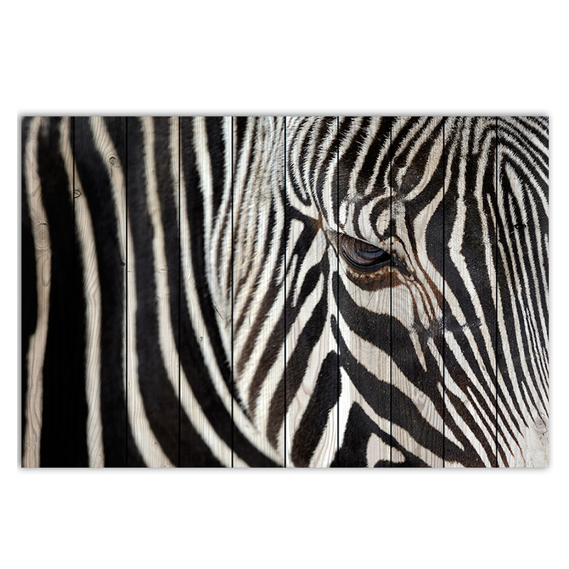 Постер Zebra Постер Zebra в Челябинске | Loft Concept