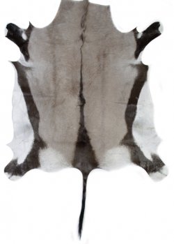 Натуральная шкура антилопы Gemsbok Черный Натуральная шкура антилопы Gemsbok Черный в Челябинске | Loft Concept