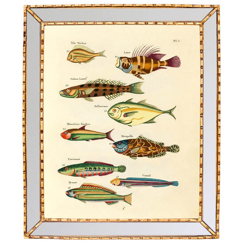 Постер в зеркальной раме Fish Guide 2 Мульти Золотой Постер в зеркальной раме Fish Guide 2 Мульти Золотой в Челябинске | Loft Concept