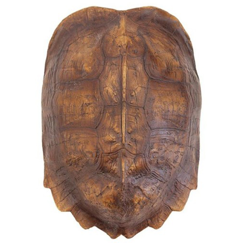 Аксессуар Turtle Shell Natural Light Brown Коричневый в Челябинске | Loft Concept 