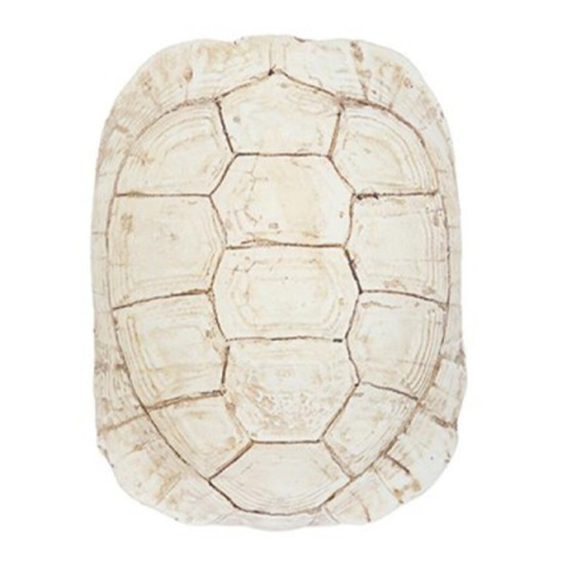 Аксессуар Turtle Shell White Бежевый в Челябинске | Loft Concept 