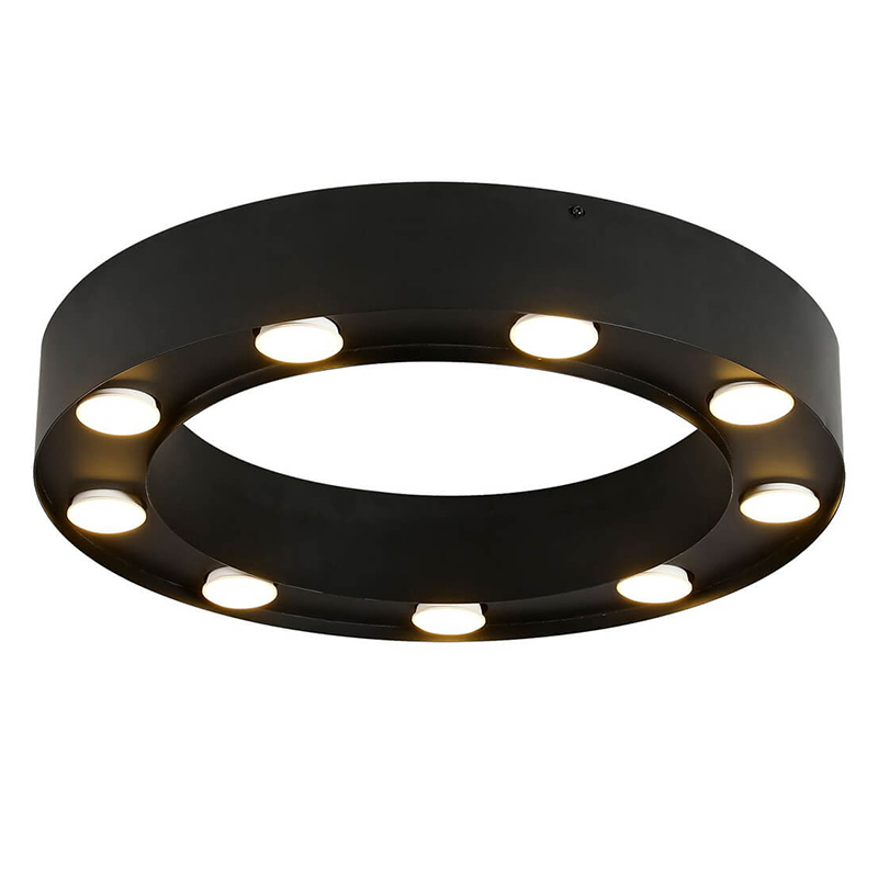 Потолочный светильник Dugan Ceiling Lamp 50 Черный Потолочный светильник Dugan Ceiling Lamp 50 Черный в Челябинске | Loft Concept