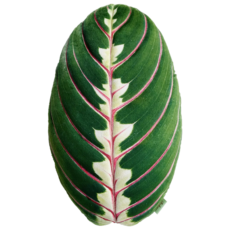 Декоративная подушка Botanical Cushion Maranta Trikolor Зеленый Бургундский красный Декоративная подушка Botanical Cushion Maranta Trikolor Зеленый Бургундский красный в Челябинске | Loft Concept