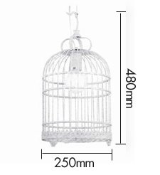 Подвесной светильник Bird Cage Подвесной светильник Bird Cage в Челябинске