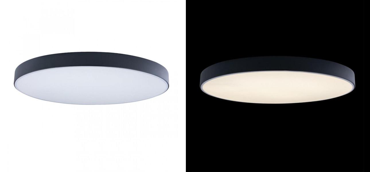 Потолочный светильник Maelis Black диаметр 60 - фото №1