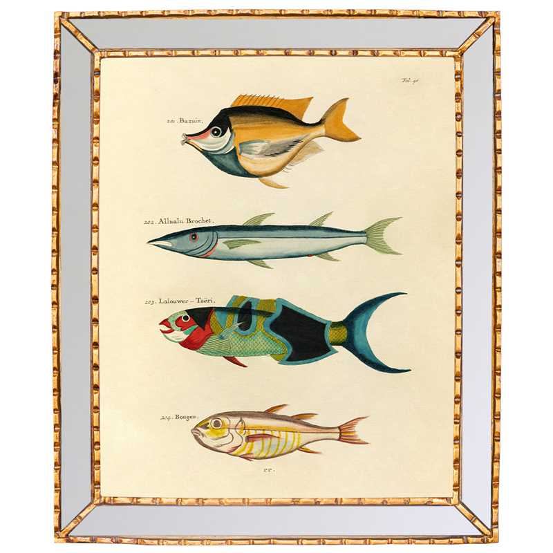 Постер в зеркальной раме Fish Guide 3 Мульти Золотой Постер в зеркальной раме Fish Guide 3 Мульти Золотой в Челябинске | Loft Concept