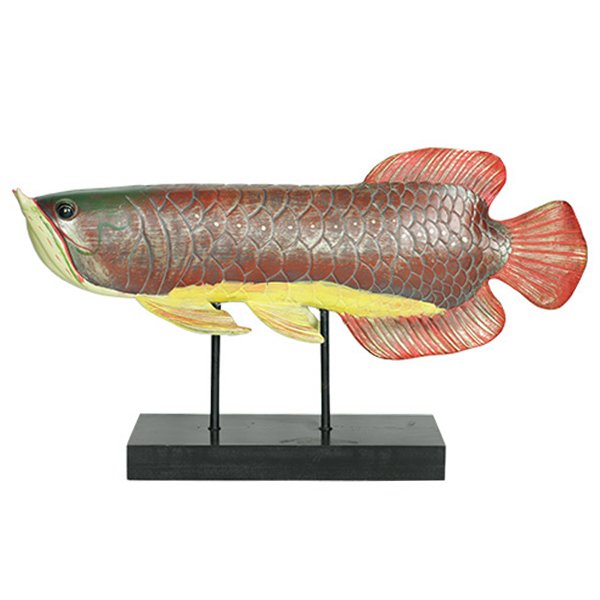 Аксессуар для интерьера рыба Colored Fish Аксессуар для интерьера рыба Colored Fish в Челябинске | Loft Concept
