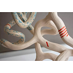 Скульптура «Papañca» варинант исполнения - 3 | Loft Concept в Челябинске