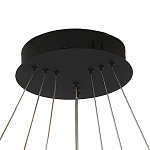 Люстра светодиодная с 3-мя плафонами в форме колец из акрила и алюминия с пультом для регулировки света Ring Horizontal Anthracite варинант исполнения - 5 | Loft Concept в Челябинске