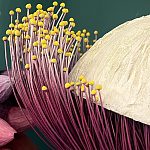 Статуэтка фантастический фрукт Exotic Tropical Fruit orange and white 67 варинант исполнения - 2 | Loft Concept в Челябинске