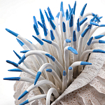 Статуэтка тропический фрукт Tropical Fruit White Blue варинант исполнения - 1 | Loft Concept в Челябинске