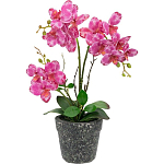 Декоративный искусственное растение Pink orchid варинант исполнения - 1 | Loft Concept в Челябинске