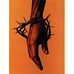 Подарочная книга величайший фотограф Альберт Уотсон The Vienna album Albert Watson варинант исполнения - 4 | Loft Concept в Челябинске