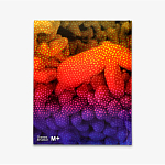 Редкое подарочное издание Yayoi Kusama: 1945 to Now варинант исполнения - 3 | Loft Concept в Челябинске