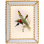 Постер с изображением птиц и цветов в зеркальной раме Blooming Birds Poster варинант исполнения - 4 | Loft Concept в Челябинске