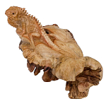 Статуэтка из дерева игуана Animals of the World варинант исполнения - 1 | Loft Concept в Челябинске