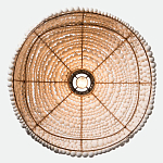 Подвесной светильник в виде купола декорированный белыми деревянными бусинами White Wooden Beads Hanging Lamp варинант исполнения - 4 | Loft Concept в Челябинске
