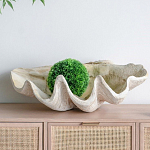Блюдо декоративное в виде ракушки Seashell варинант исполнения - 3 | Loft Concept в Челябинске