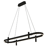Люстра подвесная овальная черная  Black Light Fixtures варинант исполнения - 1 | Loft Concept в Челябинске