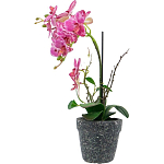 Декоративный искусственное растение Pink orchid варинант исполнения - 4 | Loft Concept в Челябинске