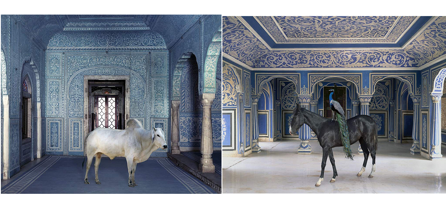 Книга KAREN KNORR INDIA SONG Книга KAREN KNORR INDIA SONG - Loft-Concept в Челябинске