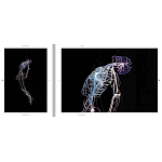 Монография художника Tavares Strachan - There is Light Somewhere варинант исполнения - 6 | Loft Concept в Челябинске