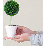 Декоративный искусственное растение Boxwood One варинант исполнения - 6 | Loft Concept в Челябинске