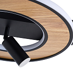 Потолочный светильник круглый GAVIN WOOD варинант исполнения - 2 | Loft Concept в Челябинске