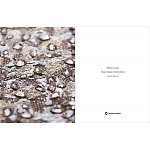 Книга Maison Lesage: Haute Couture Embroidery Mauries Patrick варинант исполнения - 11 | Loft Concept в Челябинске