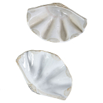 Фигурка из фарфора в виде одной створки ракушки Marine Tridacna варинант исполнения - 3 | Loft Concept в Челябинске