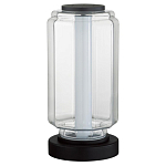 Настольная лампа с прозрачным плафоном Jarrty варинант исполнения - 1 | Loft Concept в Челябинске