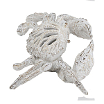 Статуэтка краб с детализированной текстурой в белом цвете Marine Accessories варинант исполнения - 4 | Loft Concept в Челябинске