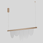 Люстра подвесная с пятью прозрачными элементами в форме лепестков и золотистым металлическим основанием DALI Tonin Casa варинант исполнения - 2 | Loft Concept в Челябинске