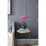 Декоративный искусственное растение Pink orchid варинант исполнения - 8 | Loft Concept в Челябинске