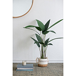 Декоративный искусственное растение Decor Stile  варинант исполнения - 7 | Loft Concept в Челябинске