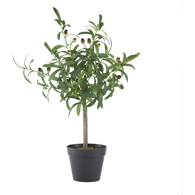 Декоративный искусственное растение Olive tree with fruits Зеленый Черный Коричневый Декоративный искусственное растение Olive tree with fruits Зеленый Черный Коричневый в Челябинске | Loft Concept