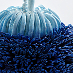 Статуэтка Синий тропический фрукт Tropical Fruit Pandora 1 варинант исполнения - 4 | Loft Concept в Челябинске