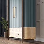 Шкаф «Гавайи» варинант исполнения - 2 | Loft Concept в Челябинске