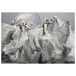 Alexander McQueen: Savage Beauty варинант исполнения - 2 | Loft Concept в Челябинске