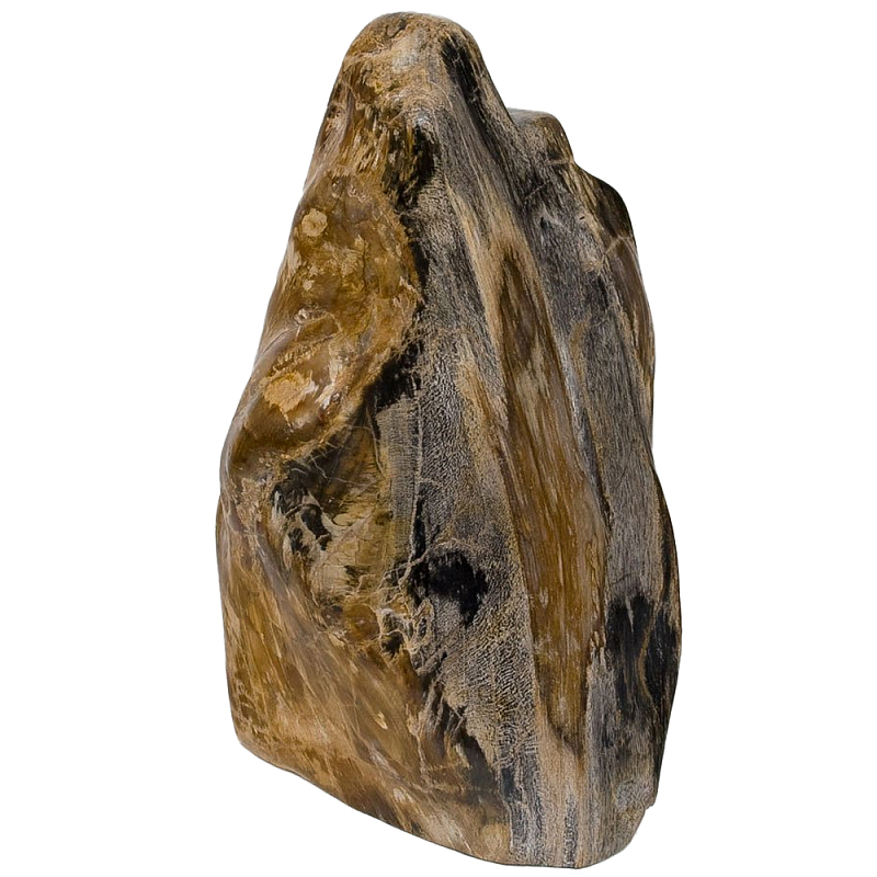 Аксессуар для интерьера из окаменелого дерева Little Rock Petrified Wood Statuette Коричневый Аксессуар для интерьера из окаменелого дерева Little Rock Petrified Wood Statuette Коричневый в Челябинске | Loft Concept