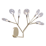 Бра в виде ветвей с прозрачными круглыми плафонами Moooi варинант исполнения - 1 | Loft Concept в Челябинске