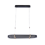 Люстра светодиодная в форме овала из акрила и алюминия с пультом для регулировки света Ring Horizontal Anthracite варинант исполнения - 1 | Loft Concept в Челябинске