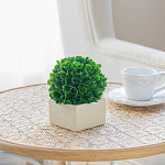 Декоративный искусственное растение Square boxwood варинант исполнения - 6 | Loft Concept в Челябинске