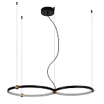 Люстра подвесная светодиодная черный металл Ring Horizontal варинант исполнения - 9 | Loft Concept в Челябинске