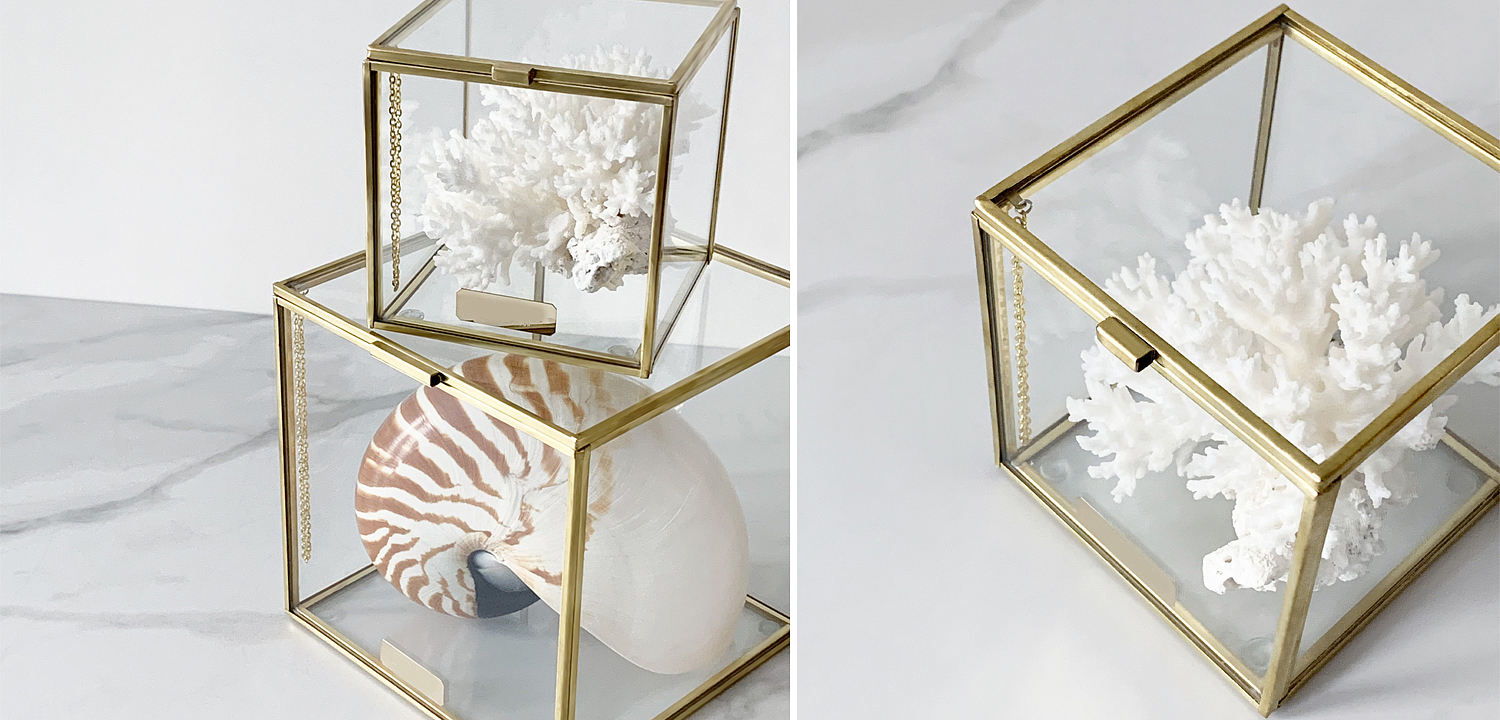 Статуэтка Natural Coral Glass Box S Статуэтка Natural Coral Glass Box S - Loft-Concept в Челябинске